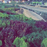 حديقة تركي الأول, المحمدية 19 نصيحة