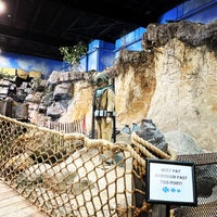 2/21/2022에 Rita L.님이 Long Island Aquarium &amp;amp; Exhibition Center (Atlantis Marine World)에서 찍은 사진