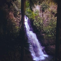 Photo taken at La Mina Trail And Waterfall by Rita L. on 3/1/2014