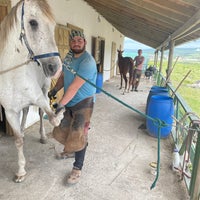 Photo prise au Akademi Binicilik par TC Paşa Y. le5/18/2021