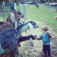 unangst tree farm fall fun