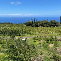 Photo taken at Heavenly Hawaiian Farms by Flávio R. on 3/24/2021