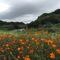 Photo taken at 花島公園 by 兄貴っち on 9/19/2020