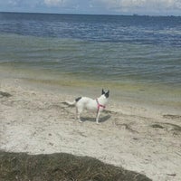 Picnic Island Beach Dog Park Run In Southwest Tampa Photo Taken At Picnic Island Beach Dog Park By Jennifer K On 7 18
