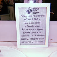 Photo taken at Погладь Енота by ОЛЬГА Б. on 1/7/2020