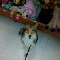 Photo taken at PetSmart by Ronnie H. on 8/15/2014