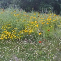 Photo taken at Staring Lake Park by Katie H. on 6/22/2018