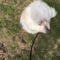 Photo taken at Jar Restaurant by Barry F. on 12/25/2019