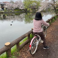 Photo taken at Shakujii Park by Kazunori Y. on 4/5/2024