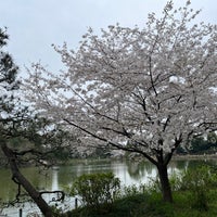Photo taken at Zenpukuji Park by Hiroshi T. on 4/5/2024