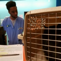 Banfield Pet Hospital Veterinarian