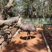 รูปภาพถ่ายที่ National Zoo &amp;amp; Aquarium โดย Pavel C. เมื่อ 9/24/2022