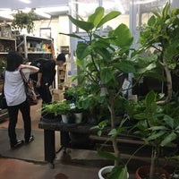 Coto Tree Hibiya Kadan 西武池袋店 南池袋1 28 1