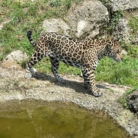 Photo taken at Zoo Salzburg by Sultan on 7/20/2023