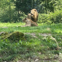 Photo taken at Zoo Salzburg by Sultan on 7/20/2023