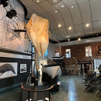 Foto scattata a The Whaling Museum da L. Paul R. il 6/9/2023