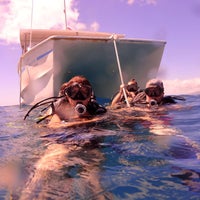 10/20/2018 tarihinde Ken G.ziyaretçi tarafından Rainbow Scuba Hawaii'de çekilen fotoğraf