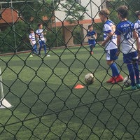 pamuk hali saha aydin aydin