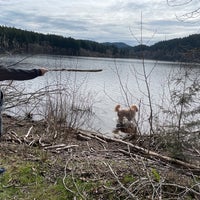 Photo taken at Lake Padden Park by Katie J. on 3/26/2022