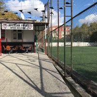 dost hali saha ambarli istanbul istanbul