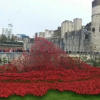 Photo taken at Blood Swept Lands and Seas of Red - Tower of London WW1 Poppy Memorial by Cassie W. on 10/12/2014