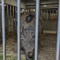 Photo taken at Rhinoceros by Bekker on 10/14/2023