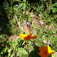 Photo taken at 光が丘公園 テニスコート by Bekker on 9/20/2021