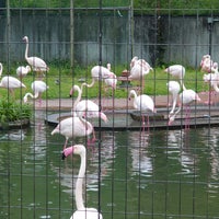 Photo taken at Flamingo by Bekker on 5/13/2023