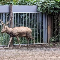 Photo taken at Pere David&amp;#39;s deer by Bekker on 10/14/2023