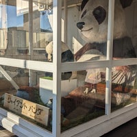 Photo taken at Giant panda by Bekker on 1/27/2024