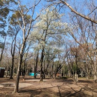 Photo taken at 光が丘公園 バーベキュー広場 by Bekker on 4/1/2024