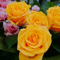Flower Market 花市場 青山店 青山 東京 東京都