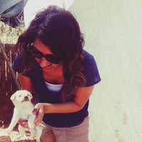 Urla Hayvan Barinagi