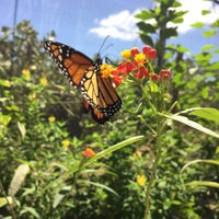 Photo taken at The Butterfly Farm by Adam S. on 3/25/2015