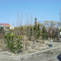 憩の農園 稲沢植木センター 福島町中浦１２ １