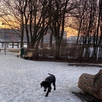 Photo taken at Tervasaaren koira-aitaus by Rudi T. on 3/15/2022
