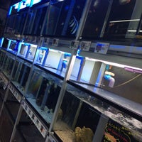 アクアペット小倉 Pet Store In 北九州市 アクアペット小倉 Pet Store In 北九州市