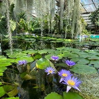 รูปภาพถ่ายที่ Botanická záhrada UK โดย Veronika Š. เมื่อ 5/27/2023