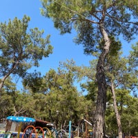 Park Funtastic Playground