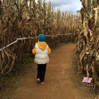 10/18/2015에 Courtney H.님이 Maize Quest Fun Park에서 찍은 사진