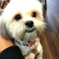 Photo taken at Towne House Grooming &amp;amp; Pet Supplies by Allan M. on 12/22/2012