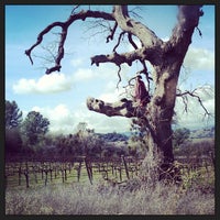 Photo taken at Twisted Oak Winery by Dhyana on 2/23/2013