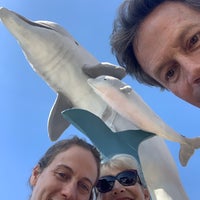 Photo taken at Dolphin Research Center by Vee B. on 1/2/2020