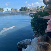 Photo taken at Dolphin Research Center by Vee B. on 1/3/2020