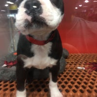 Uncle Bill s Pet Superstore Fort Wayne IN