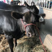 Photo taken at Wilson County Fairgrounds by FATIMA on 8/19/2018