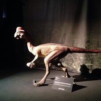 Photo taken at Dinosaurium by Anton on 6/29/2014