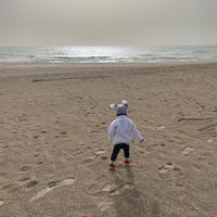 Review Illinois Beach State Park