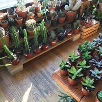 Photo taken at Plant Shop Chicago by Israel R. on 7/10/2020