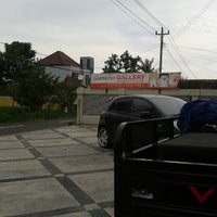Giant Pet Gallery Dsn Biru